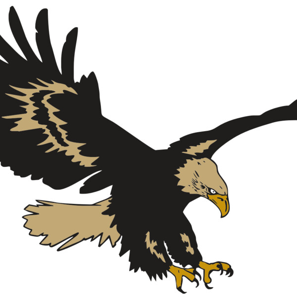 AR EAGLE 47 RC Thumbnail