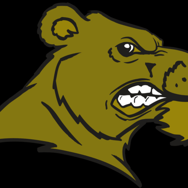 AR BEAR 11 RC Thumbnail