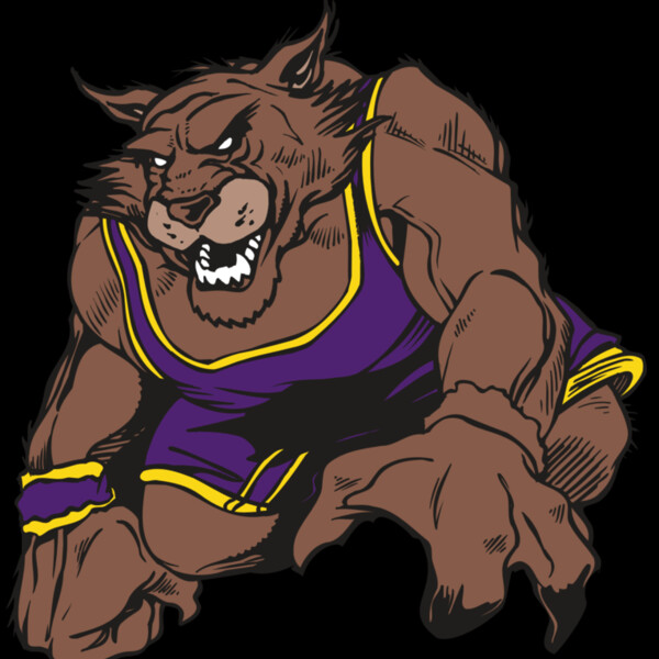 AR WILDCAT 23 RC Thumbnail