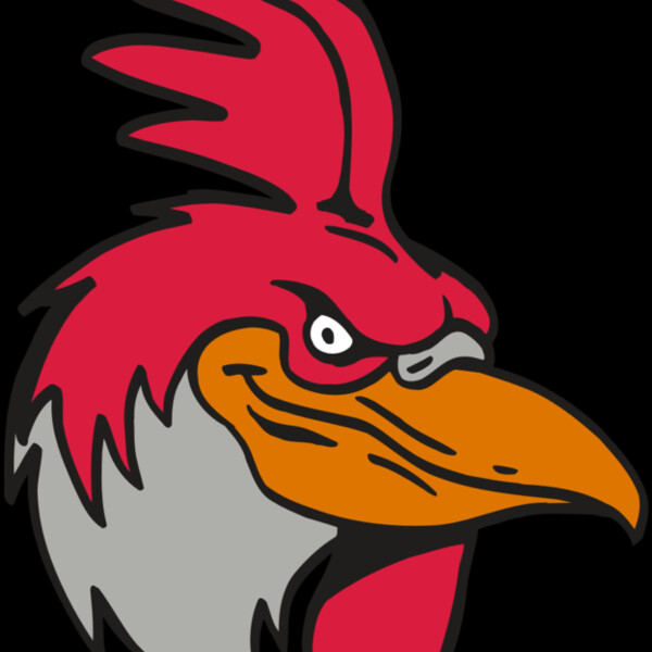 AR5 Gamecock 05 RQC Thumbnail