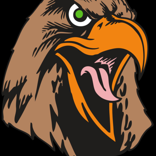 BAW HWK FLCN 01 RC Thumbnail