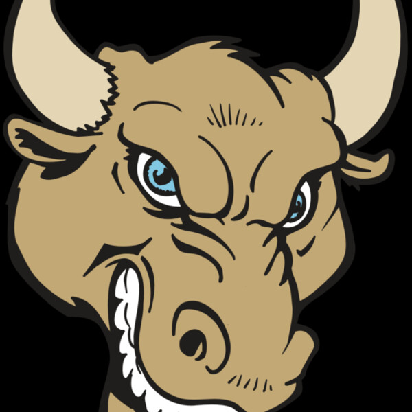 AR5 BULL 13 RQC Thumbnail