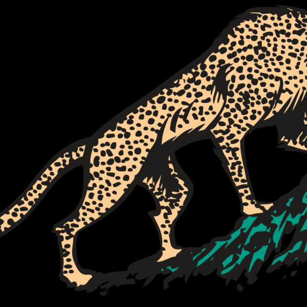 AR CHEETAH 02 RC Thumbnail