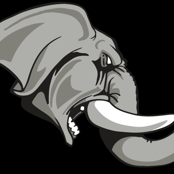 AR ELEPH 20 RC Thumbnail