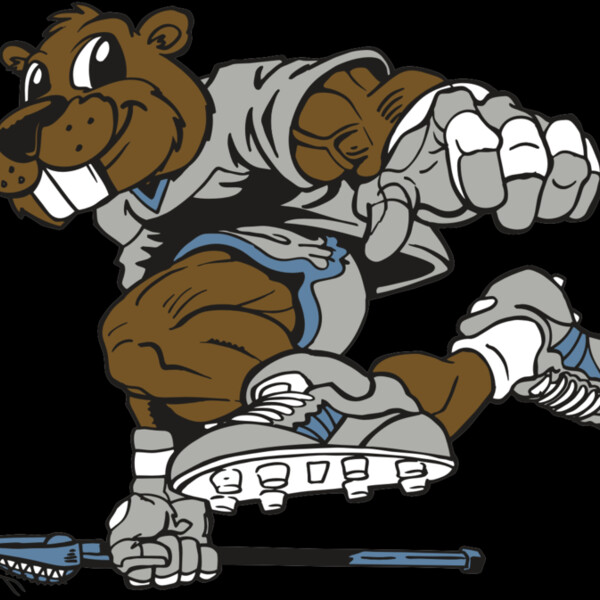 AR8 BEAVER 04 RQC Thumbnail