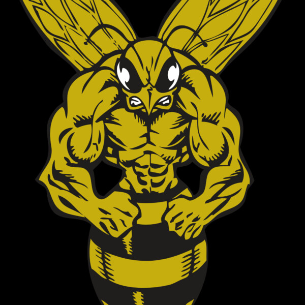 BAW BEE 06 RC Thumbnail