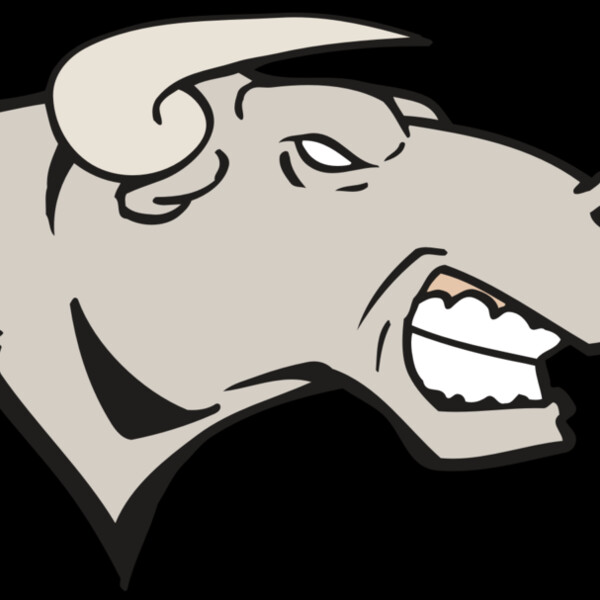 AR BULL 18 RC Thumbnail