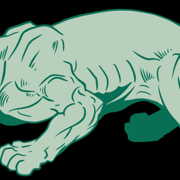 AR10 PANTHER 05 RQC Thumbnail