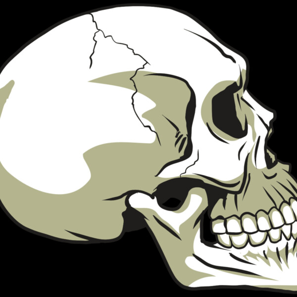 AR24 SKULL 12 RQC Thumbnail