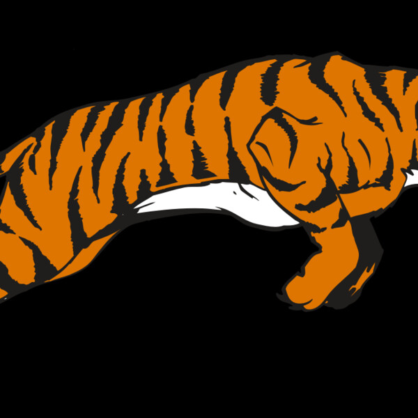 AR TIGER 79 RC Thumbnail