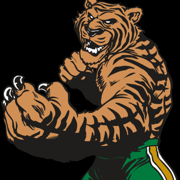 AR TIGER 64 RC Thumbnail