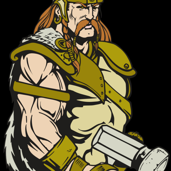 AR VIKING 38 RC Thumbnail