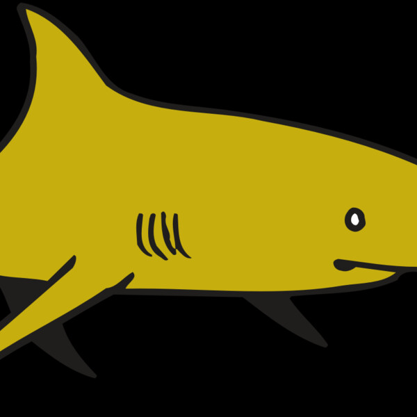 AR  SHARK 30 RC Thumbnail