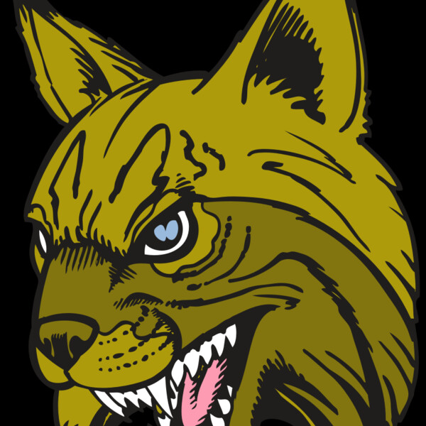 BAW BOBCAT 05 RC Thumbnail