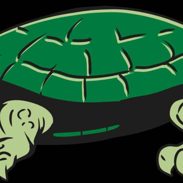 AR32 TURTLE 01 RQC Thumbnail