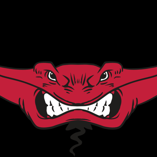 AR19 STINGRAY 03 RQC Thumbnail