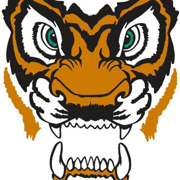 AR TIGER 11 RC Thumbnail