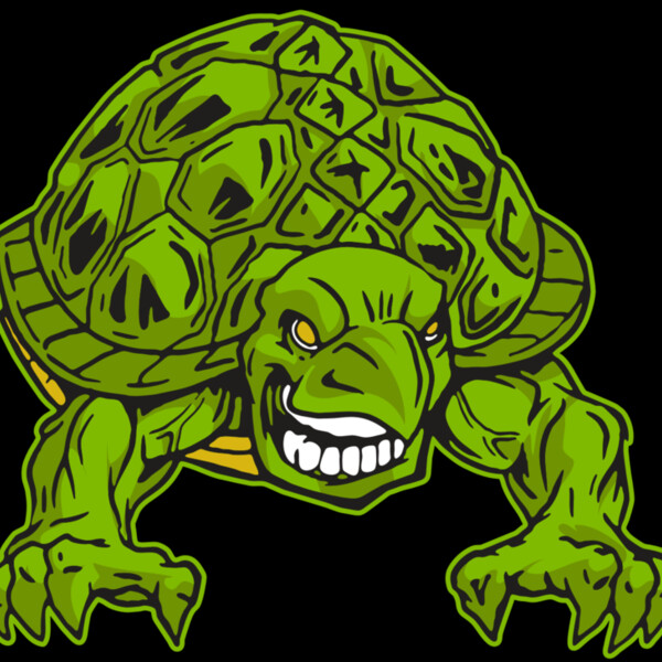 AR31 TURTLE 03 RQC Thumbnail