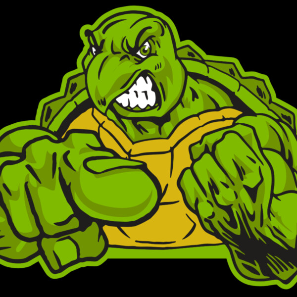 AR31 TURTLE 02 RQC Thumbnail